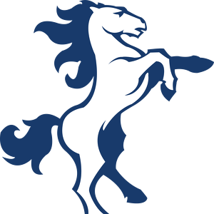 Team Page: McMasters